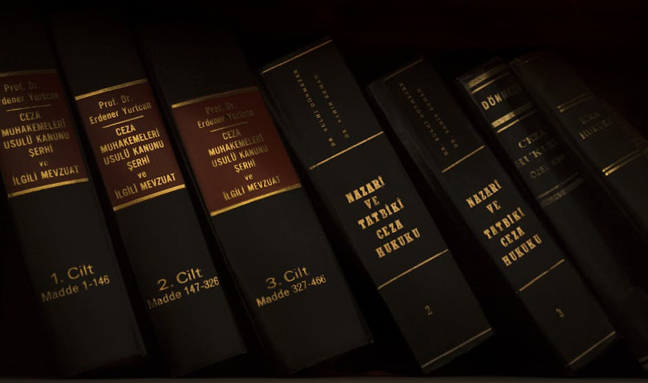 "Revolutionizing Legal Education in 2025: Breakthroughs at Sciences Po Law School"
