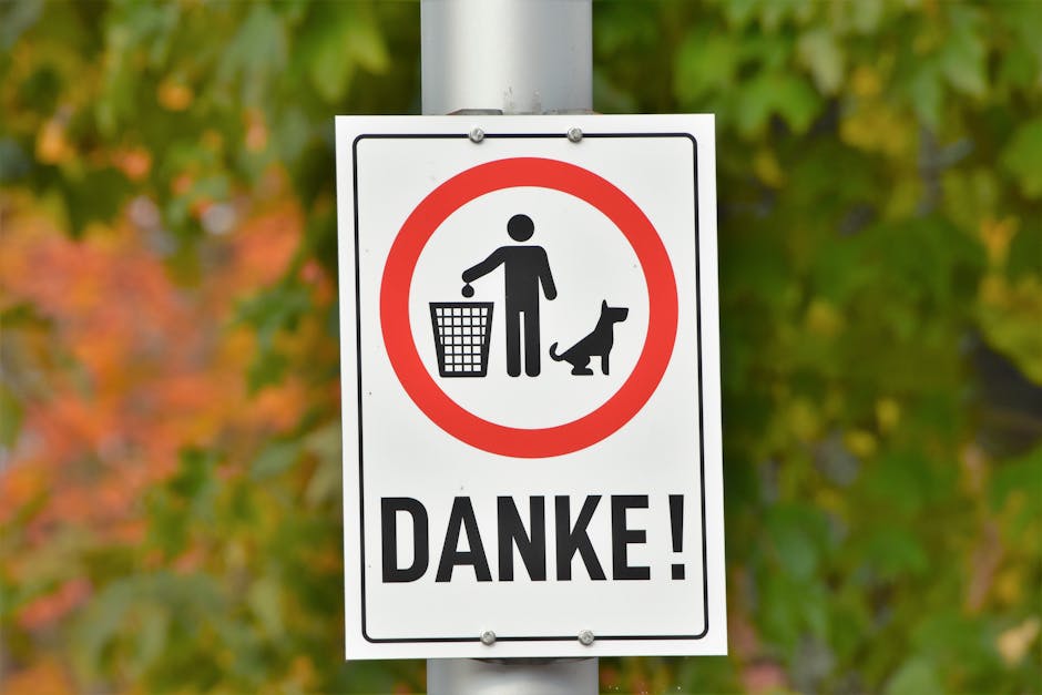 "Top Recycling and Waste Management Terms You Need to Know in Germany 2025"