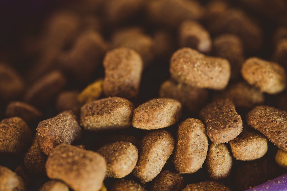 "Mastering Canine Nutrition in 2025: A Comprehensive Guide to Balance It® Canine for Optimal Dog Health"