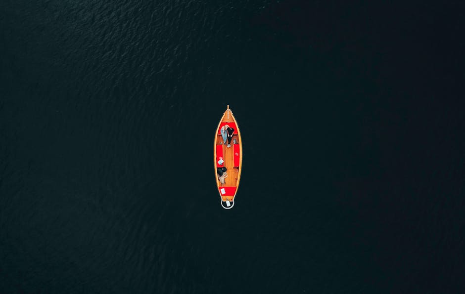 "Navigating the Netherlands: 2025 Visa Guide & Entry Rules for Zimbabwean Travelers"